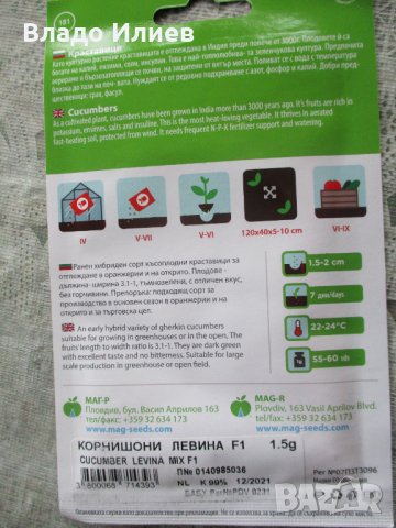 Семена за магданоз,краставици и фасул неразпечатани опаковки, снимка 7 - Сортови семена и луковици - 35184139