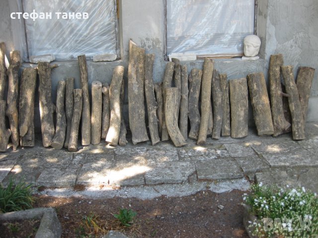 Чемшир - дървен материал за украсна резба, снимка 14 - Антикварни и старинни предмети - 18621658