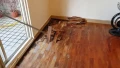 Циклене на паркет от Класик паркет, снимка 1