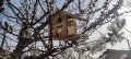 Къща с Хранилка за птици , Къщи с Хранилки за птички, Къщички , снимка 8