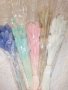 Сноп 10 бр сухи цветя декорация аранжиране ваза букет натурални заешка опашка пухче лагурус пухчета, снимка 2