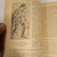 стар учебник Човешките раси, снимка 2 - Учебници, учебни тетрадки - 44865958