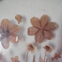 Стар месингов поднос със сухи цветя, снимка 2 - Антикварни и старинни предмети - 27135758