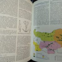 Энциклопедия виноградарства. Том 1-3, Руски език 1986 г, снимка 3 - Специализирана литература - 32539471