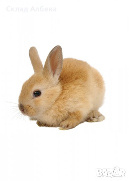 Пълноценнa смеска/фураж за зайци стартер БОНМИКС, Мелхран 10кг, снимка 1