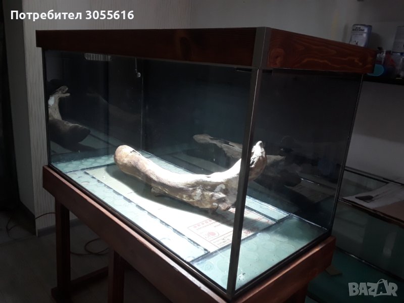 Аквариум в Аквариуми в гр. Варна - ID40378833 — Bazar.bg
