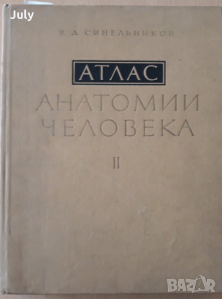 Атлас анатомии человека, Том 2, Р. Д. Синельников, снимка 1