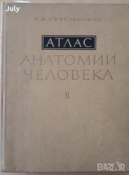 Атлас анатомии человека, Том 2, Р. Д. Синельников в Специализирана ...