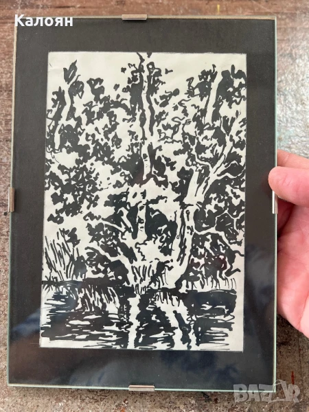 Дърво - Рисунка с туш в рамка - стъкло с гръб и клипс, снимка 1