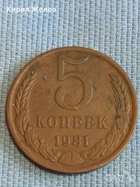 Стара монета 5 копейки 1981г. СССР рядка за КОЛЕКЦИЯ ДЕКОРАЦИЯ 37816, снимка 1