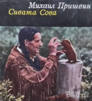 Сивата сова, снимка 1