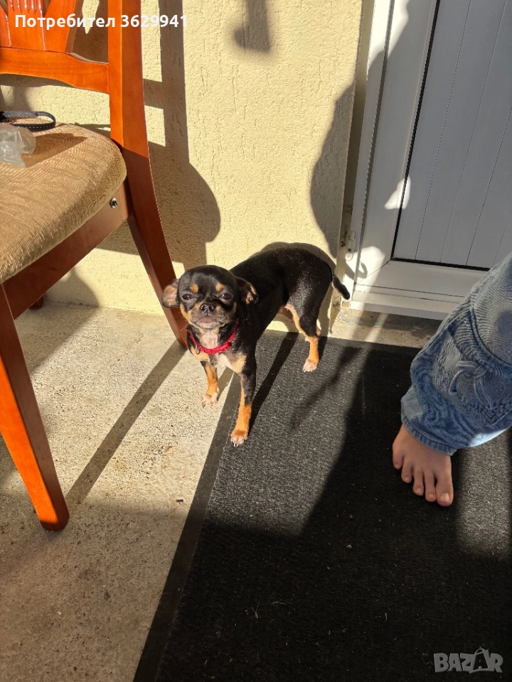 Продавам, снимка 1