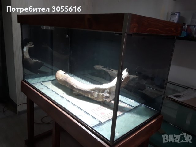 Аквариум, снимка 3 - Аквариуми - 40378833