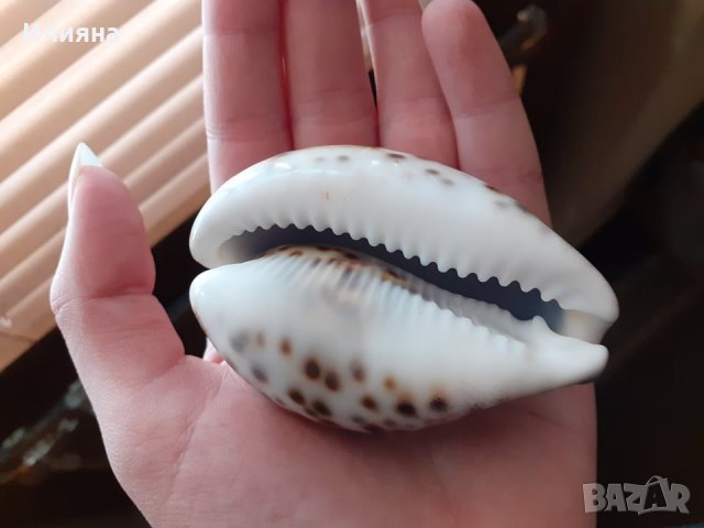 Страхотен подарък!, снимка 2 - Статуетки - 28094828