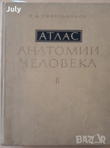 Атлас анатомии человека, Том 2, Р. Д. Синельников, снимка 1 - Специализирана литература - 32299951