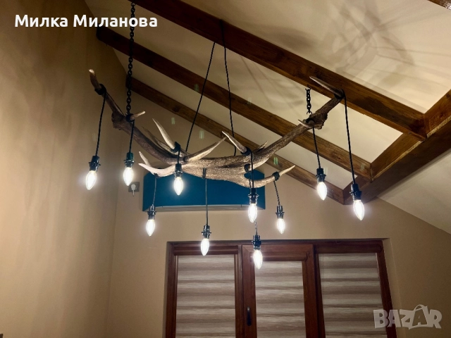 Полилей от рога от елен