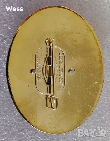 Германска, Вермахт значка "Планински водач", снимка 2 - Колекции - 53205817