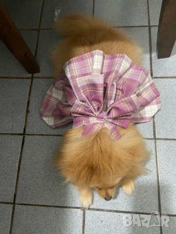 Рокля за куче с повод. Нагръник за куче. Нагръдник с повод. Нагръдник за малко куче. Дрехи за кучета, снимка 10 - За кучета - 38383966