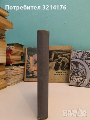 Моята младост - Ханс Мархвица, снимка 3 - Художествена литература - 53186726