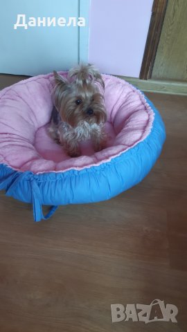 Кучешки легла , снимка 3 - За кучета - 32615354