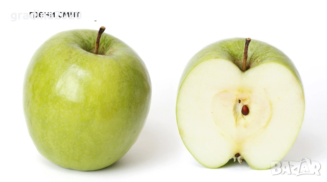   Ябълкa –  Фиданки подбрани сортове за богата и вкусна реколта, снимка 2 - Разсади - 52899934