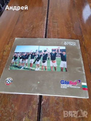 Книга 24 карата футбол САЩ 1994, снимка 5 - Специализирана литература - 48272371
