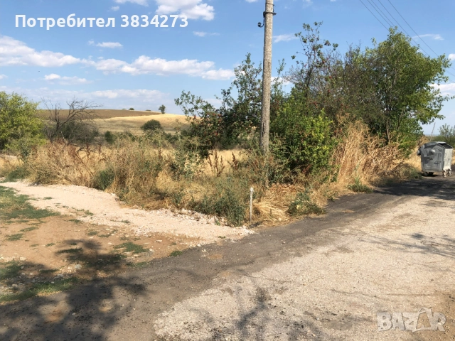 Стара къща с голям двор изгодно продава собственик, село Блатница, обл. Пазарджик, снимка 4 - Къщи - 51703807