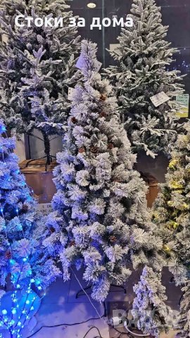 скандинавска елха