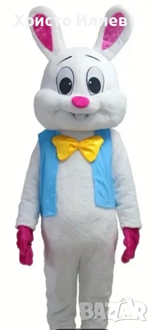 Голям костюм Заек Зайче Парти плюшен костюм за рожден ден празненство 2м Талисман, снимка 3 - Други - 53351026