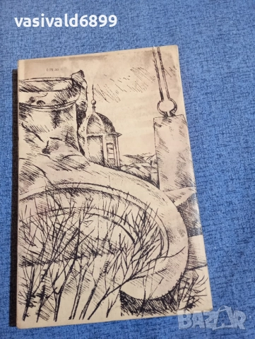 Микола Садкович - Мадам Любов , снимка 3 - Художествена литература - 52521849