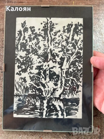 Дърво - Рисунка с туш в рамка - стъкло с гръб и клипс