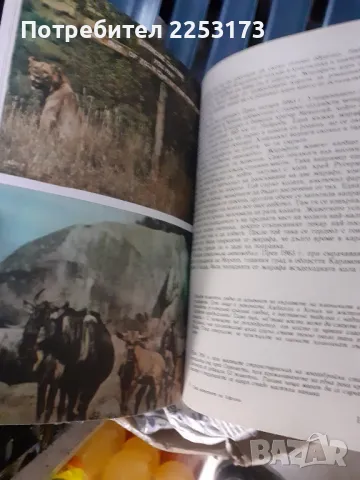 Животните на Африка, снимка 2 - Детски книжки - 48960735