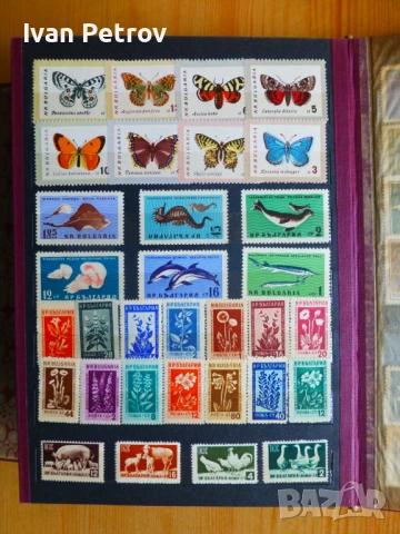 Продавам серии пощенски марки „Животни и растения“, снимка 16 - Филателия - 50960831