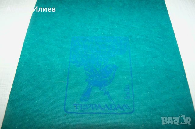 Ръчно рисувана картичка върху листо от дървото Бодхи, Индия 8, снимка 6 - Други ценни предмети - 35593998