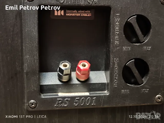 Промо 🌟 🌟 🌟 INFINITY RS 5001 Висок клас Датски тонколони , снимка 4 - Тонколони - 47567948