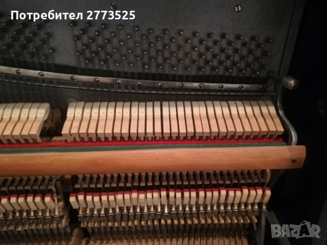 Пиана, рояли, арфи, акордеони - акордиране / настройване и ремонт, снимка 5 - Други услуги - 29723120