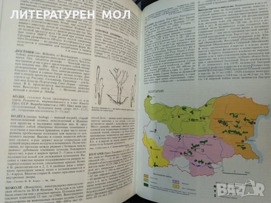 Энциклопедия виноградарства. Том 1-3, Руски език 1986 г, снимка 3 - Специализирана литература - 32539471