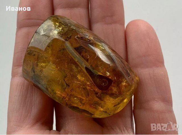 Балтийски кехлибар с отлично съхранени фосили , снимка 3 - Други - 33665443