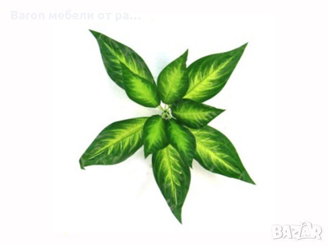 Изкуствено растение, снимка 10 - Изкуствени цветя - 27789269