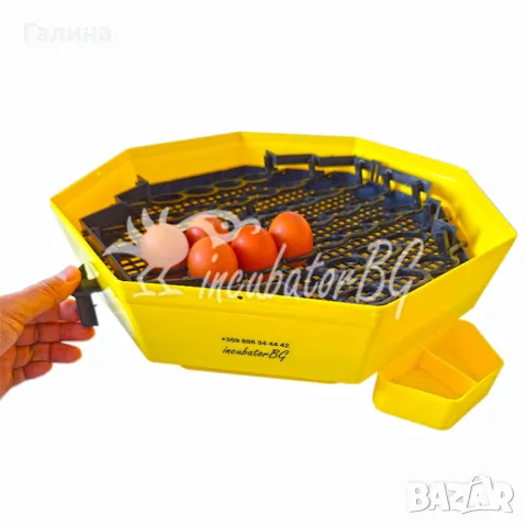 Инкубатор Cleo 5 DTH+  за 41 яйца с влагомер и външни ванички от официалният за БГ представител, снимка 3 - За птици - 48632708