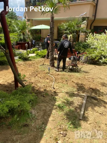 📍📍📍Тревен чим 25 лв. за кв/м. цената включва: тревен чим, товаро-разтоварна дейност, полагане и м, снимка 10 - Градински цветя и растения - 50381448