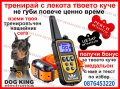 Електронен нашийник за куче, снимка 1 - Стоки за кучета - 43209295