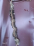 СТАР СРЕБЪРЕН ЖЕНСКИ НАКИТ ТРЕПКА ПРОЧЕЛНИК ТУРСКИ АКЧЕТА , снимка 2