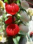 Изкуствени цветя, снимка 5