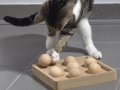 НОВИ! Игра за котки развиваща интелекта , снимка 1 - За котки - 29047935