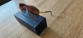 НАМАЛЕНИЕ !!! Оригинални слънчеви очила Louis Vuitton , снимка 2