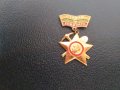 Значка Строим за родината , снимка 1