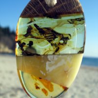 Приказна висулка от естествен балтийски кехлибар / Fabulous Pendant made of Natural Baltic Amber, снимка 4 - Колиета, медальони, синджири - 33332781