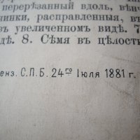 1881 Голям руски албум с цветни страници, снимка 4 - Антикварни и старинни предмети - 37618970