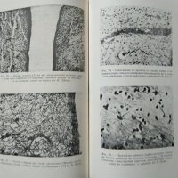 Клинична психиатрия. Част 1 Никола Шипковенски 1956 г., снимка 2 - Специализирана литература - 27590219